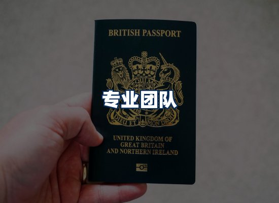 专业团队