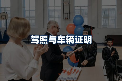 车辆证明展示